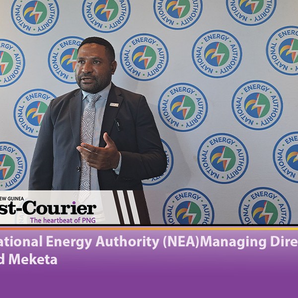 NEA Urges Independent Power Producers to transition licenses